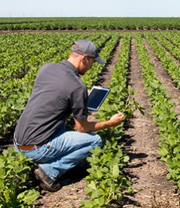 Image of Person Farming for Ag Checking