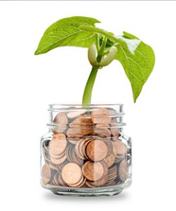 Image of a Money Tree for Ag Savings